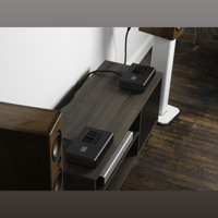 Schiit Audio Gjallarhorn F variant 4