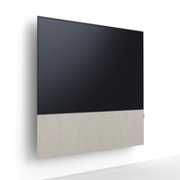 Canvas CANVAS 65 variant 16