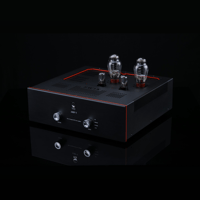 SW1x AMP V “Titan” Integrated Amplifier variant 4