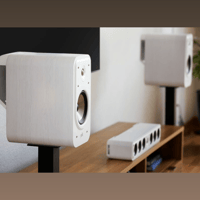 Polk Audio Signature Elite ES20 variant 7