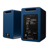 Argon Audio FORTE A5 WIFI variant 2