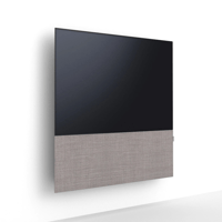 Canvas CANVAS 55 variant 55