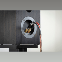 Pro-ject Audio Systems - USA Connect it LS DS variant 4