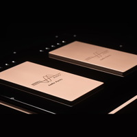 Merrill Audio Element 116 Power Amplifier Monoblocks variant 5