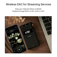 Cayin N3Pro variant 12