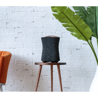 Sony RA5000 Premium Wi-Fi Enabled 360 Reality Audio Speaker variant 2