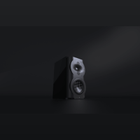 Perlisten S4b variant 5