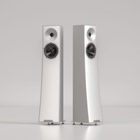 YG Acoustics Carmel 3 variant 1