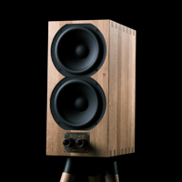 Buchardt Audio E50 variant 31
