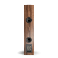 Dali RUBICON 6 variant 2