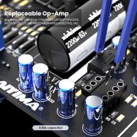 Aiyima AIYIMA A07 MAX - US Warehouse Ship variant 5