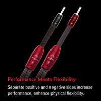 AudioQuest Brave Heart Full-Range variant 7