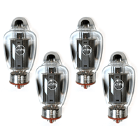 Black Ice Audio TungSol KT170 variant 1