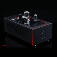 SW1x MPA IV “Aurora” Mono Power Amplifier variant 13