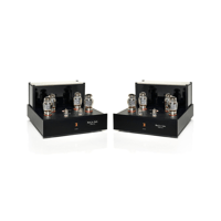 Black Ice Audio Fusion F165M Reference Mono Block Tube Power Amplifier(Pair) - 175 WPC* variant 3