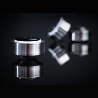 Wilson Audio Pedestal variant 4