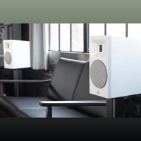 MartinLogan Motion B10 variant 1
