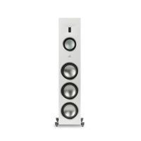 MartinLogan Motion XT F200 variant 17