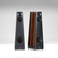 YG Acoustics Summit variant 1