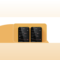 FiiO MELODY variant 12