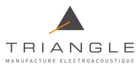 Triangle Logo
