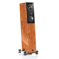 Audio Physic Avantera (with RECOTec tweeter and midrange) variant 7
