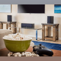 Polk Audio T30 variant 4