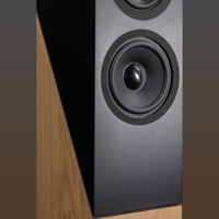 Davis Acoustics The Pledge variant 5