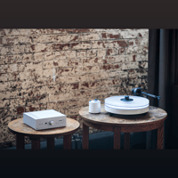 Pro-ject Audio Systems - USA RPM 5 Carbon variant 7