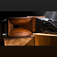 Blumenhofer Acoustics Corona 2x220 variant 19