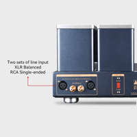 Cayin HA-6A variant 7