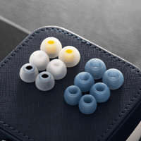 QoA (Queen of Audio) Aviation variant 6