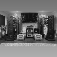 Audio Research Reference Phono 3SE variant 3