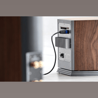 Audiovector R Sub variant 14