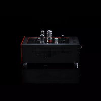 SW1x MPA II “Morpheus” Mono Power Amplifier variant 8