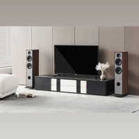 Elipson HORUS 11F variant 9