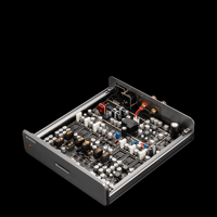 Burson Audio Timekeeper GT4 variant 12