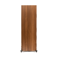 MartinLogan Motion Foundation F2 variant 5