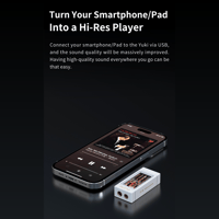 Aune Yuki USB DAC with Headphone Amp variant 9