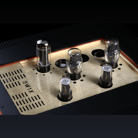 SW1x DAC X variant 19