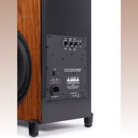 Audience Bellare variant 9