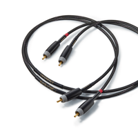 Audience Studio TWO RCA variant 1