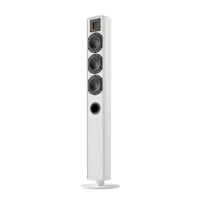 Piega usa Ace 50 Floorstanding Speakers [Pair] variant 14