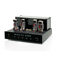 Black Ice Audio Fusion F22 V.2 Integrated Tube Amplifier - 85 WPC* variant 12