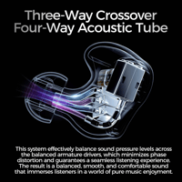 LETSHUOER Mystic 8 IEM 8 BA Drivers in-ear Monitor  Hi-Fi earphones(4.4mm) variant 6