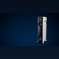 Borresen Acoustics Børresen Z2 variant 1