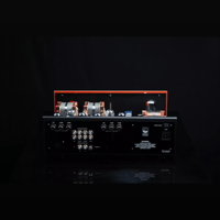 SW1x AMP II “Trident” Integrated Amplifier variant 6