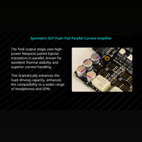 Cayin C9ii variant 20