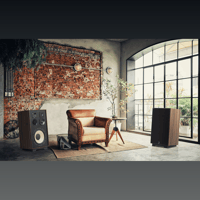 Elipson HERITAGE XLS 15 variant 8