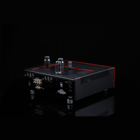 SW1x AMP II “Electra” Integrated Amplifier variant 7